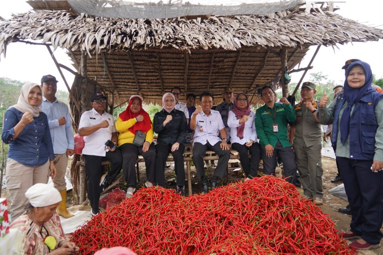 Wakil Bupati Netta Apresiasi Program Pemanfaatan Lahan Kelompok Petani Cabai