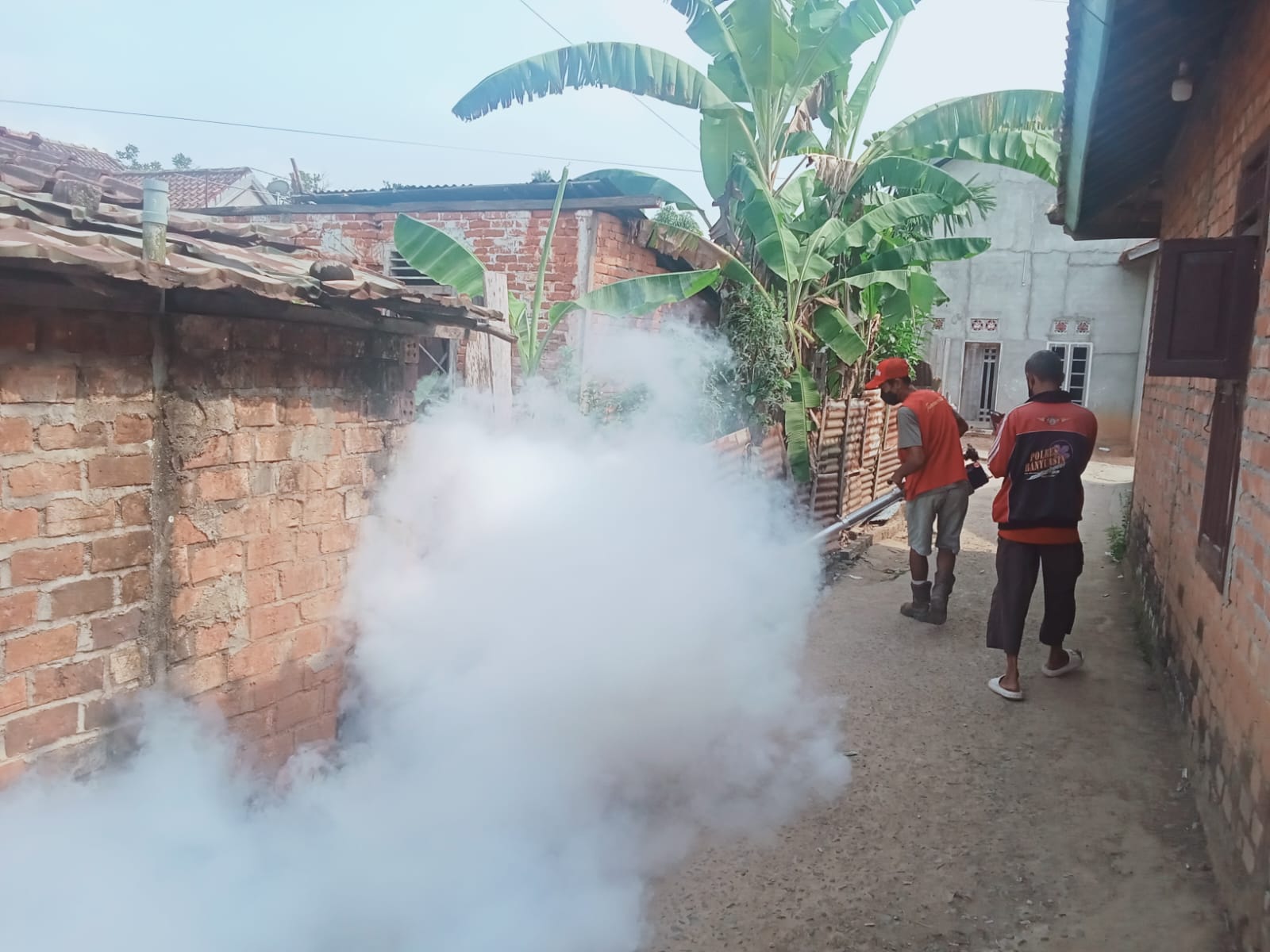 UPT Puskesmas Betung Laksanakan Fogging Fokus dan Abatisasi di Kelurahan Rimba Asam Antisipasi DBD
