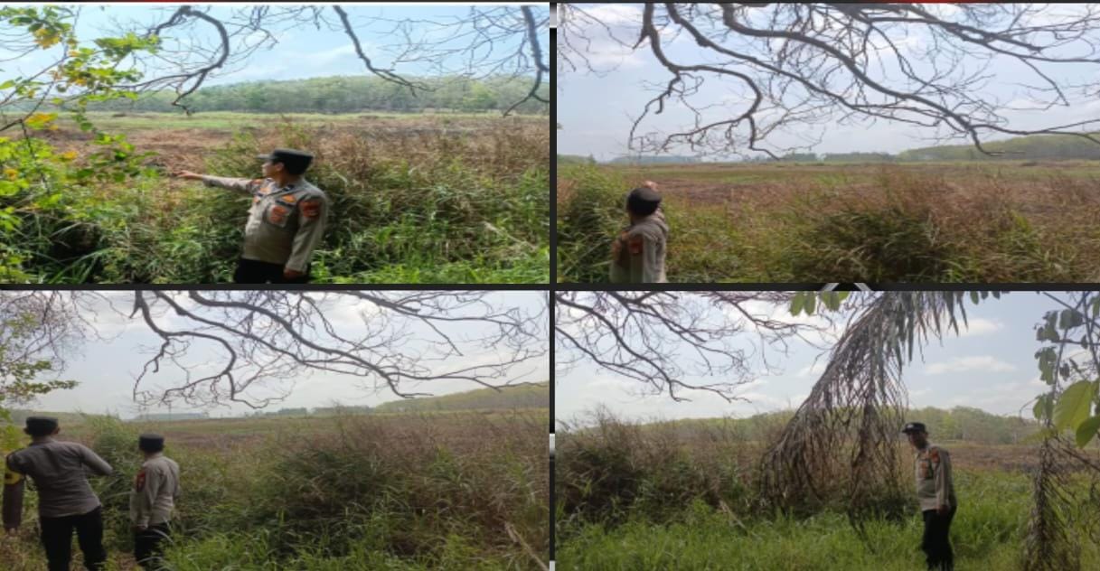 Polsek Betung Gerak Cepat Cek Hotspot di Lahan Rawa Desa Bukit