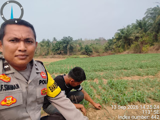 Dukung Swasembada Pangan, Aipda F. Frangky Siahaan Ajak Warga Desa Sedang Manfaatkan Pekarangan