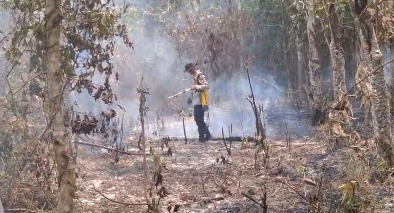 Kapolsek Rantau Bayur Bersama MPA Padamkan Karhutla dengan Alat Sederhana