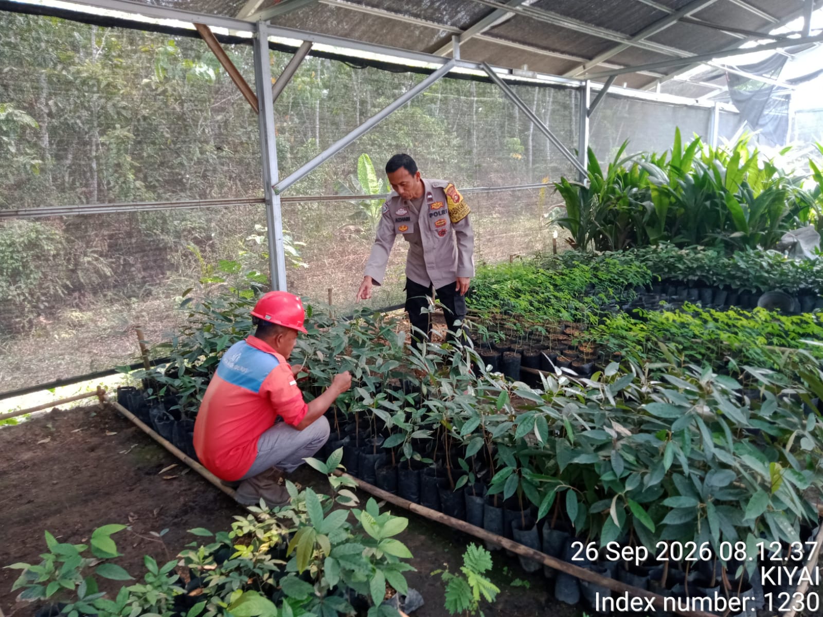 Dukung Swasembada Pangan Nasional, Bhabinkamtibmas Polsek Betung Ajak Warga Optimalkan Pekarangan Pangan Bergizi