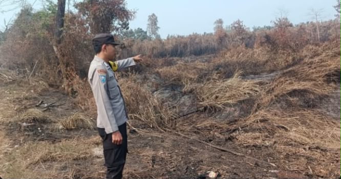 Ground Check Temukan Titik Api di Desa Gasing, Polsek Talang Kelapa Lakukan Pemadaman