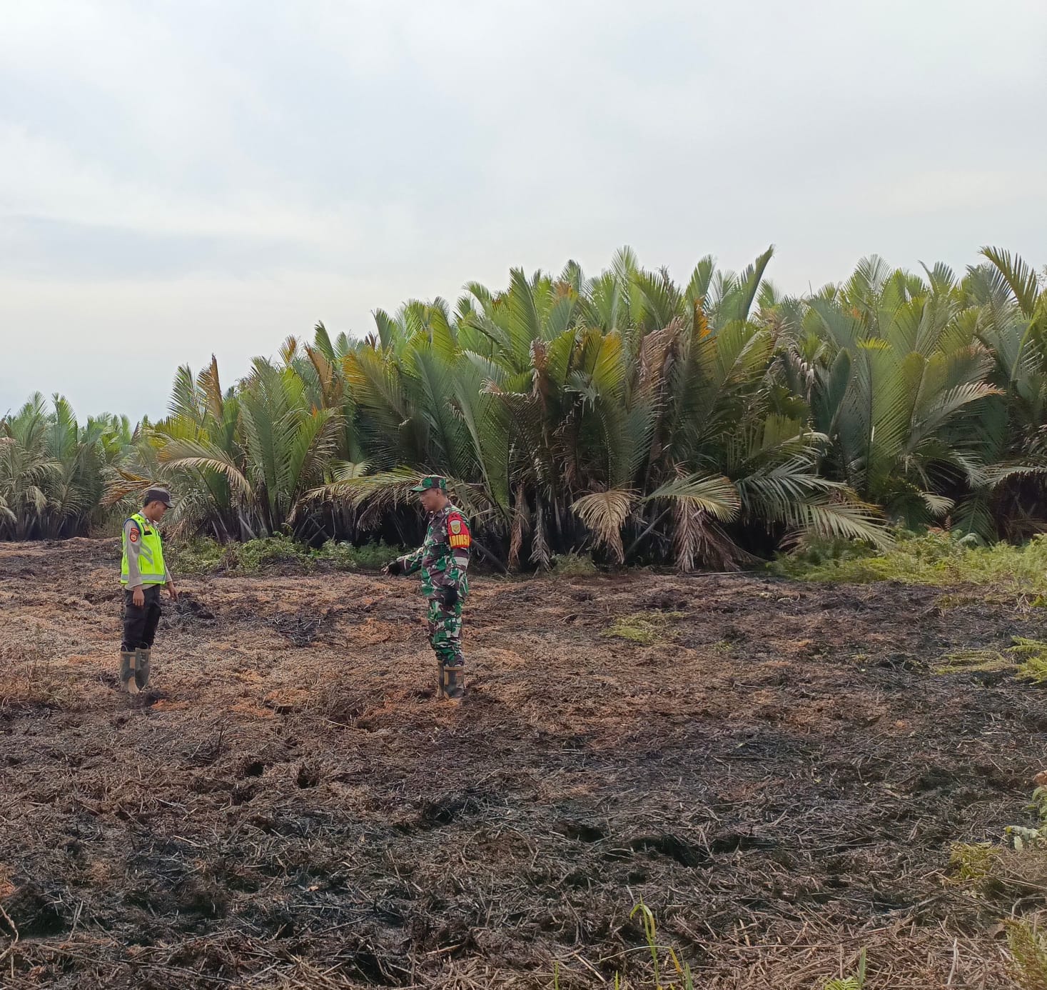 Cegah Karhutla di Musim Kemarau, Bhabinkamtibmas Betung Edukasi Warga Lubuk Karet