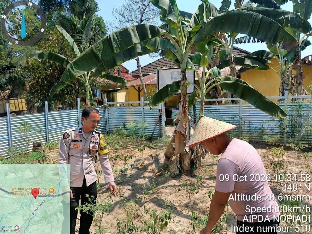 Aipda Nopiadi, SH Galakkan Program Pekarangan Pangan Bergizi di Banyuasin Demi Perkuat Ketahanan Pangan