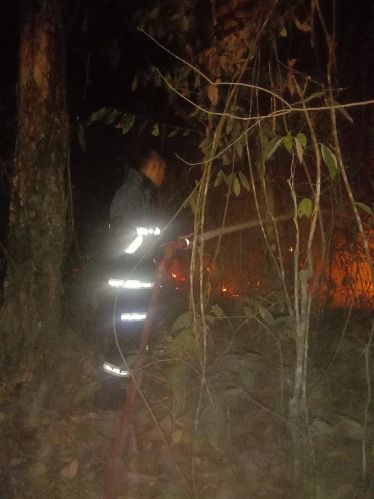 PULUHAN HEKTAR LAHAN KARET TERBAKAR, TIM DAMKAR BETUNG BERSAMA SATGAS KARHUTLA BERJIBAKU PADAMKAN API