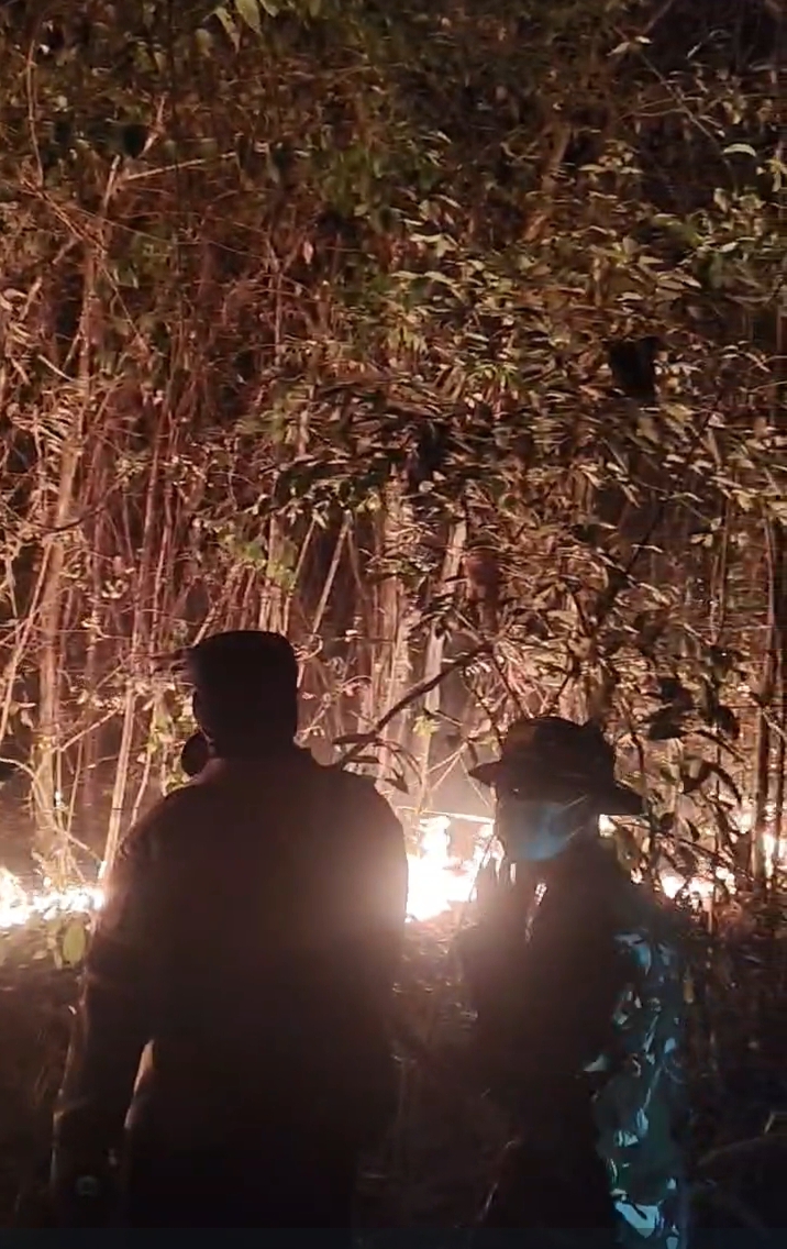 Puluhan Hektar Kebun Karet dan Sawit Terbakar, Kades Taja Indah Rahmad Saleh Bersama Tim Gabungan TNI, POLRI, BPBD Banyuasin, dan Damkar Betung Berjibaku Padamkan Api
